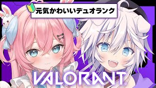 【VALORANT】元気かわいいデュオランク🔰FPS初心者めざすはシルバー #まおもも 【銀灰まお w/桃田もも/ハコネクト】