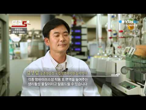 무병자수, 콩에 주목하라 / YTN 사이언스