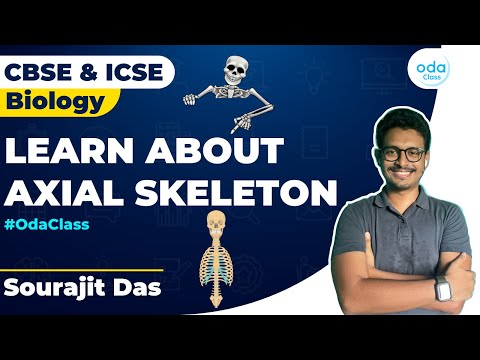 Axial Skeleton System | Biology | CBSE | ICSE | Sushmita Ma'am