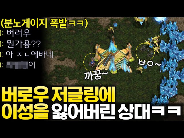게임 시작 4분 만에 버로우 저글링으로 정신없이 흔들어봤더니 상대 반응이?ㅋㅋ
