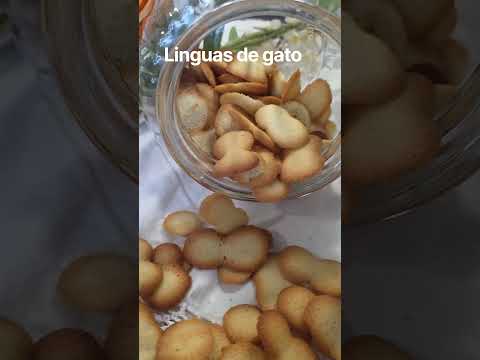 Linguas de gato #foryou #viral #fyp #portugal #fy #fypviral #fypシ #fypシ゚viral #france #suisse #brasi