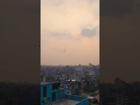 এক ঝাঁক পাখি 🐦 #আকাশেরসৌন্দর্য #প্রকৃতিররূপ #পাখিরউড়ান #NatureVibes #SkyMoments