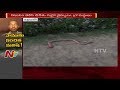 Man chases snake and kills it by biting with vengeance