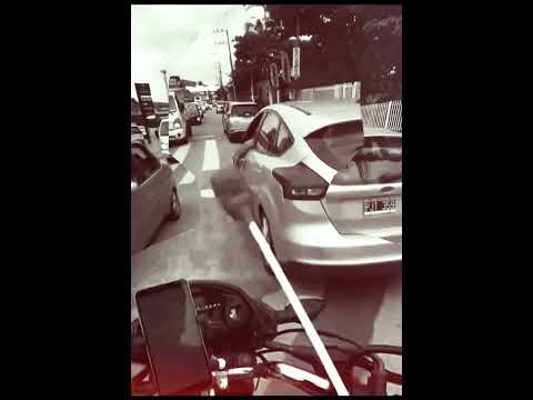 Crazy dinosaur try to bite his arm