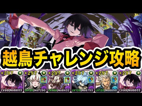 【越鳥】裏多次元に超適正！扇ベリアルループの立ち回り紹介【パズドラ】