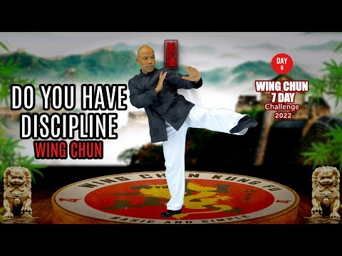 Do you have discipline to training in Wing Chun day 6