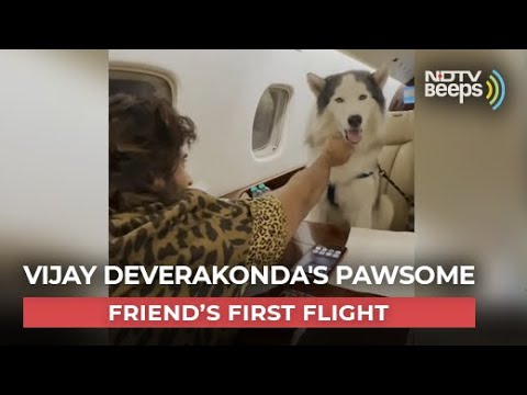 Watch: Vijay Deverakonda's Pawsome friend’s first flight