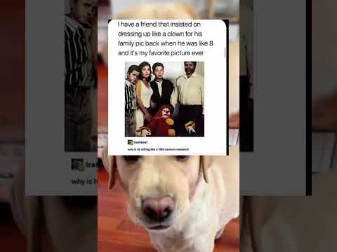 #memes #story #dog #shorts #pets