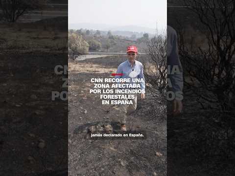 CNN recorre una zona afectada por los incendios forestales en España