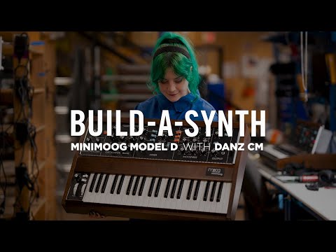 Build-a-Synth | Minimoog Model D | with Danz CM