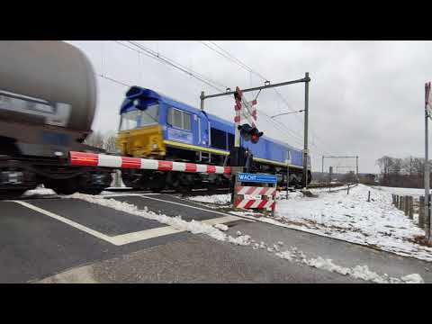 Beacon rail Class 66 266 016 with freight passing at speed between Maastricht noord and Bunde