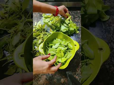 अहंकार का पतन निश्चित है👆🏻 #shorts #youtubeshorts #trending #viral #motivation #shortsfeed #follow