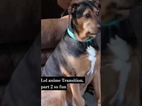 lol anime Transition part 2