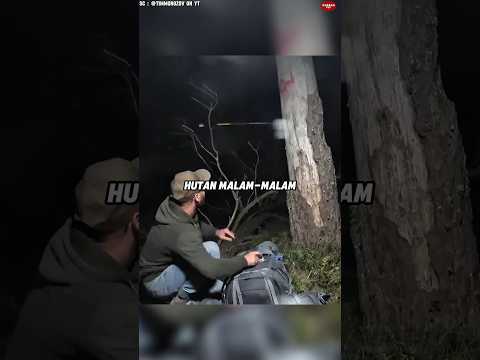 Cowok itu Diburu di Tengah Hutan Malam Hari