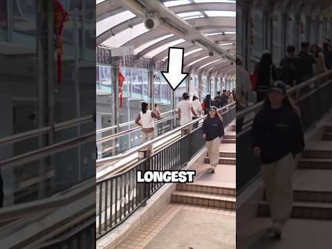 I Rode the World’s Longest Escalator (Kinda)