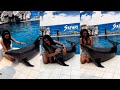 Actress Payal Rajput Playing With Dolphin | Paayal Rajput On Vacation | IndiaGlitz Telugu
