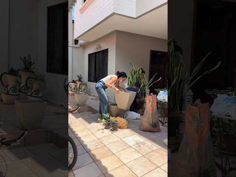 No se trata de gastar más, sino de mirar mejor y darle nueva vida a áreas olvidadas.