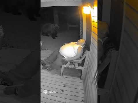 Who Got Scared More?! 😂🐻 The Funniest Bear Encounter Ever!