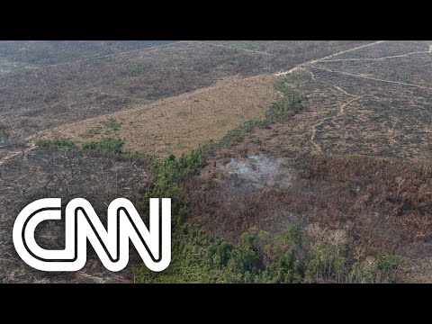 Alerta de desmatamento da Amazônia bate recorde | EXPRESSO CNN