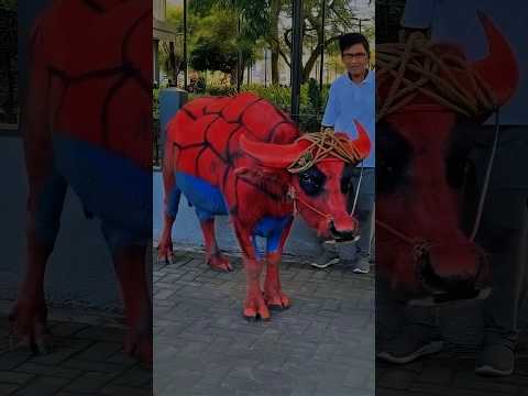 Don't Miss The Last One 😂😂😂#facts