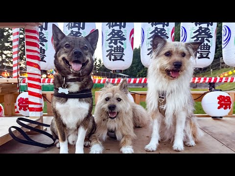 お祭りでみんなで笑ったよ！＆チャーリーが悪いことをする件