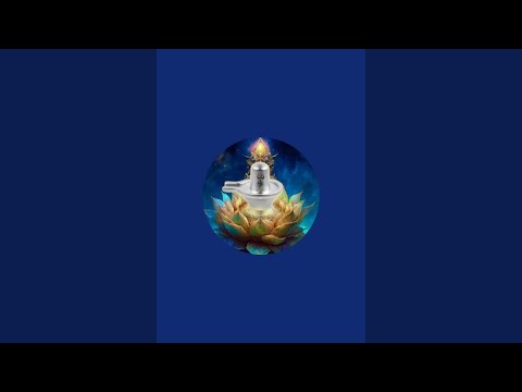 आज मां लक्ष्मी के सभी रूपों का दर्शन हो गया जय मां लक्ष्मी जय माता दी