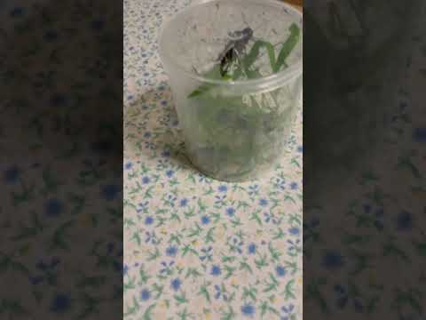 ngày 9 tháng 10, 2025