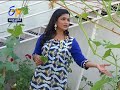 Go Organic: Know all about Roof Gardening
