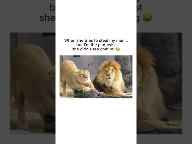 Subscribe for more inspiring content!#relationship #lions #marriage