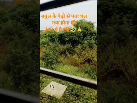 कहा ले जाओगे इतना धन 🤣🤣 #funny #comedy #comdeymemes #trending #amazingmemes #comedysong #1000subscri