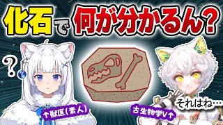 【獣医と学ぶ】君も地球探偵団になれる!? 古生物学と化石の話 【北国ここなの動物研究室 / 白亜マウルさんコラボ】