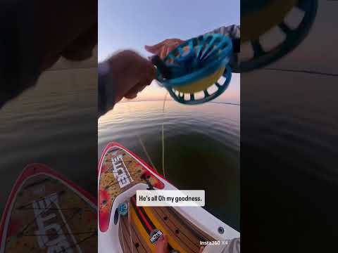 Got Catfished #flyfishing #insta360 #insta360x4 @insta360 @choonaclothing