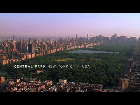 Maya Lin  - Unchopping a Tree