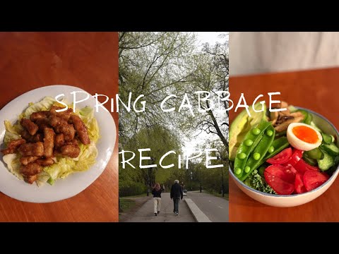 【春キャベツ3品レシピ】節約×簡単｜春野菜の作り置きVlog（キャベツ春巻き、コロコロ豚ソテー、コールスロー）