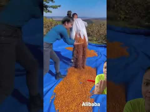 Não é bala!!😩 #food #travel #spiderman #satisfying #kindnessiscool #humor #dublagemdeboche