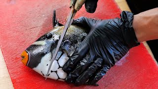 動画サムネイル