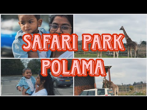 Uk safari park vlog in tamil | thaksha vlogs | UK's Lagest safari Park | London vlogs