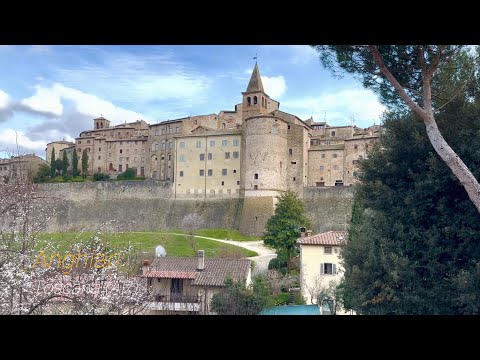 Property video