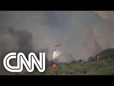 Em Portugal, mais de 650 pessoas morrem devido ao calor | CNN DOMINGO
