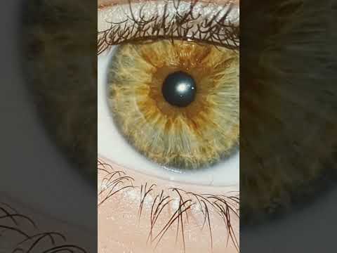 Do u guys like my eye colour? #shortsvideo #fypシ゚viral