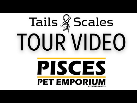 Tails & Scales Tours Pisces Pet Emporium - Canada' After the WCRE we had a little time Monday morning to check out Pisces Pet Emporium, Canada's larges