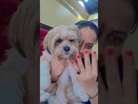 ♥️ #love #dog #pet #cute #ytshorts #trending