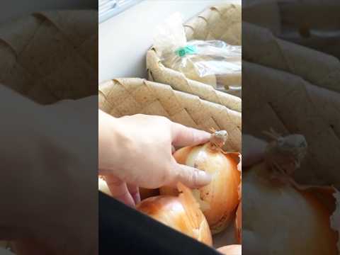 #shorts ニトリ購入品｜野菜室、冷凍庫収納