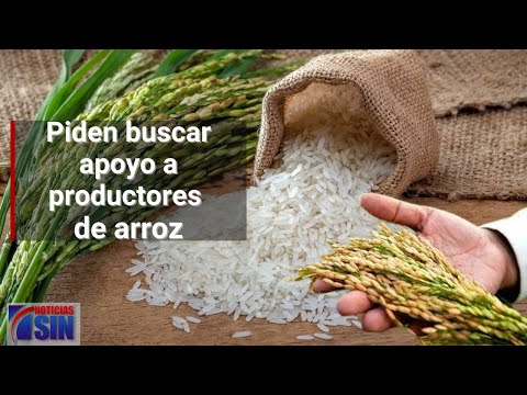 #EmisiónEstelarSIN: Onamet, arroz e inversión