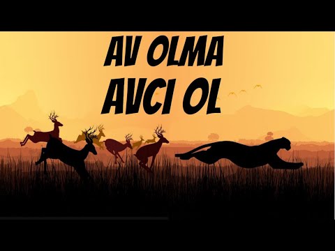 AV OLMA AVCI OL