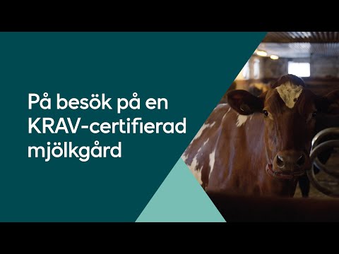 Axfood besöker den KRAV-certifierade mjölkgården Björkby gård