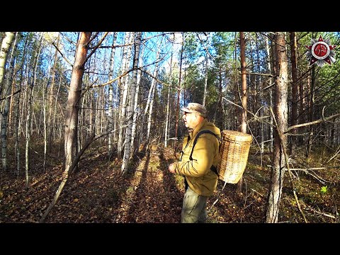 Survival Philosophy | Survival Kit Thoughts From The Forest