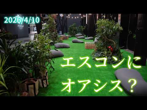 【4K】グラスラウンジ 予想もしなかった空間に仕上がっていました(2026年4月10日 金)