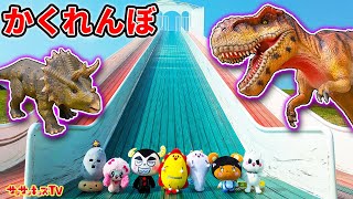動画サムネイル