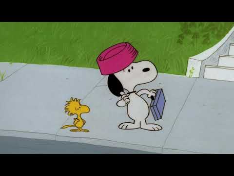 Snoopy Come Home'